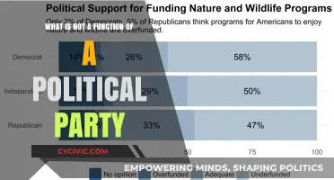 Beyond the Role: What Political Parties Don't Actually Do