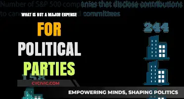 Unveiling the Unexpected: What Political Parties Don't Spend Big On
