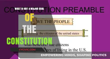 Understanding the Limits of the Constitution