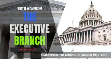 Understanding the Executive Branch: What's Excluded?