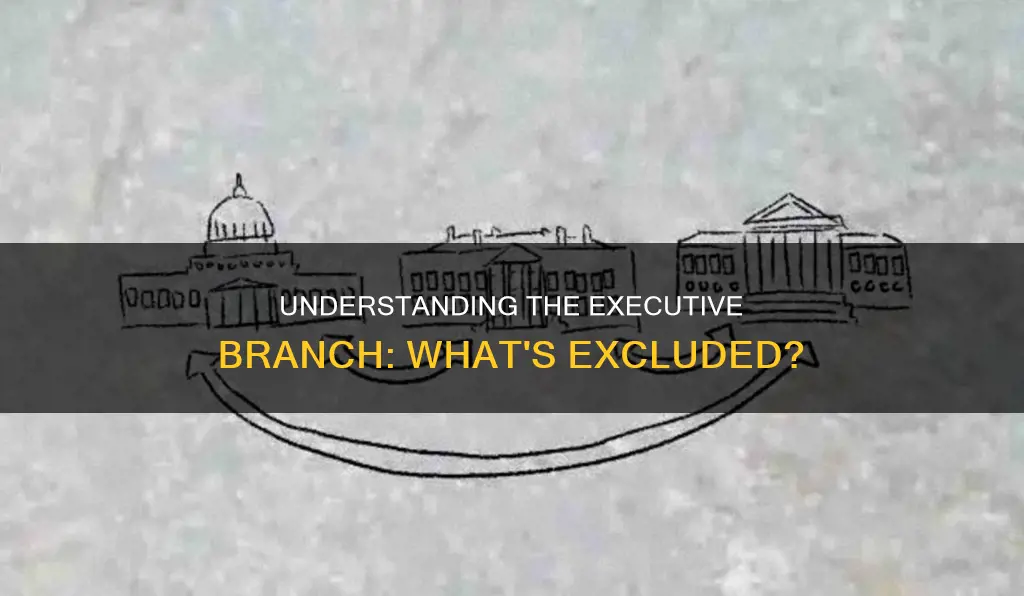 what is not a part of the executive branch