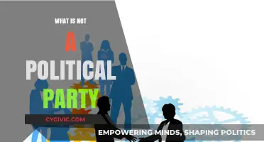 Beyond Politics: Understanding Entities That Are Not Political Parties