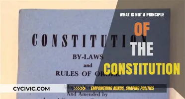 Understanding the Limits of Constitutional Principles