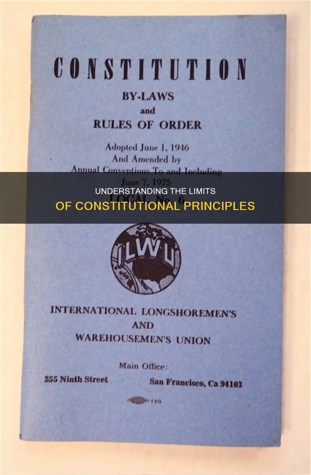 what is not a principle of the constitution