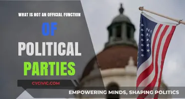 Beyond the Ballot: Unofficial Roles Political Parties Often Play