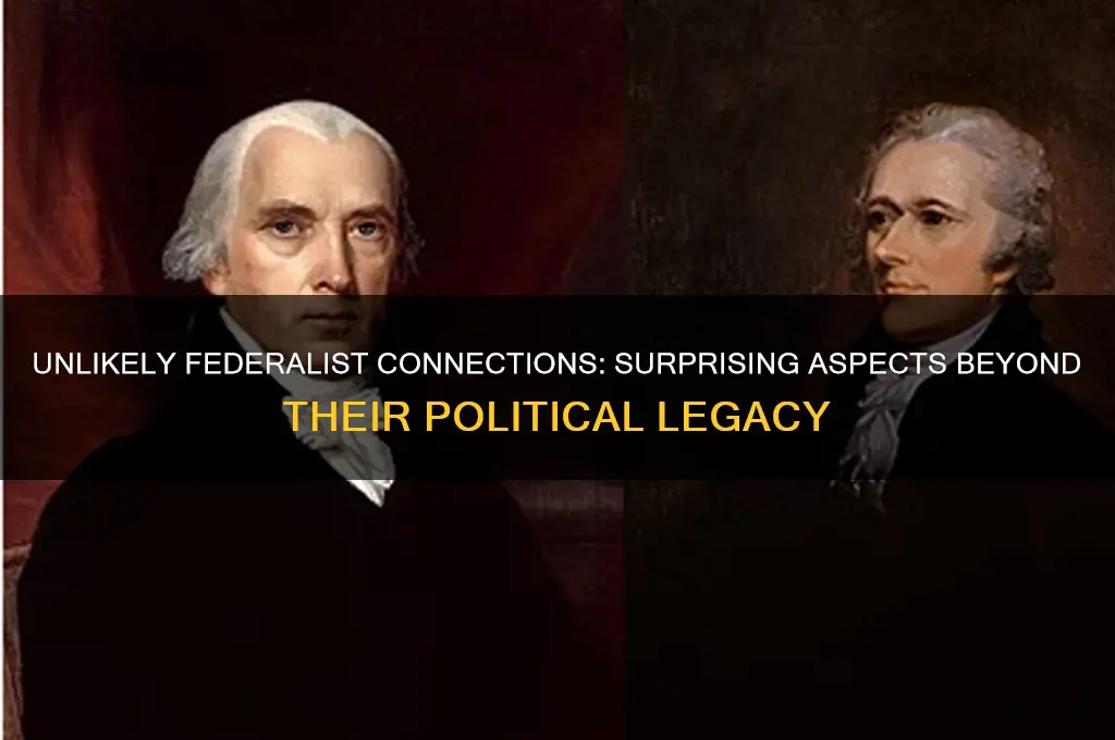 what is not commonly associated with the federalists political party