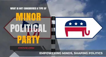 Understanding Minor Political Parties: What Doesn't Qualify as One?