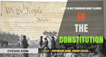 Slavery's Unforbidden Constitution: Exploring Legal Loopholes