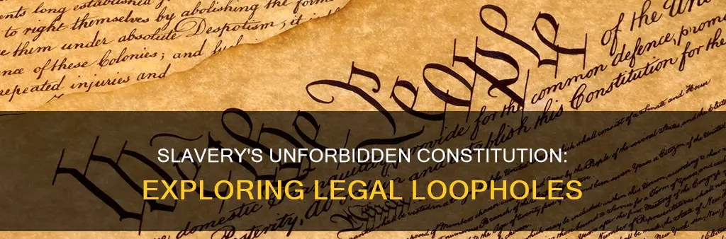 what is not forbidden about slavery in the constitution