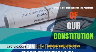 The Preamble: What's Missing and Why It Matters