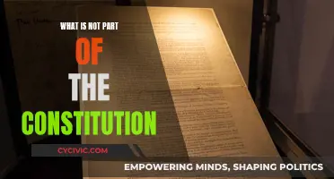 The Constitution's Missing Pieces: What's Excluded and Why?