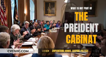 Who's Not in the President's Cabinet?