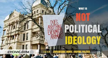 Beyond Politics: Understanding What Doesn't Define a Political Ideology