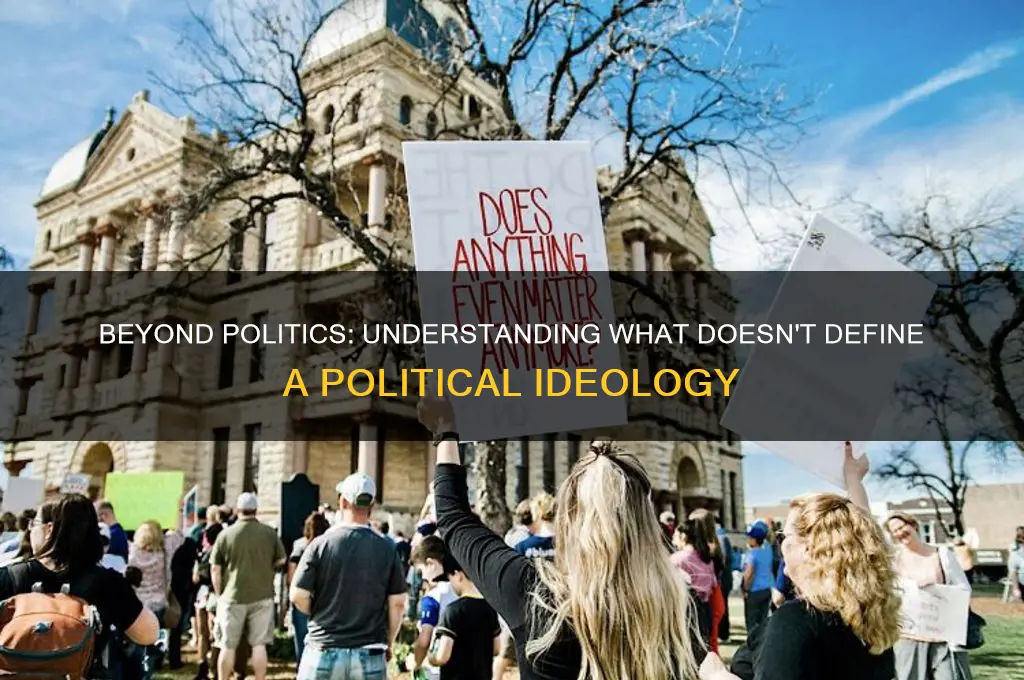 what is not political ideology