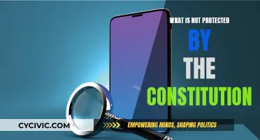 The Constitution's Limits: What the Law Doesn't Protect