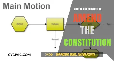 Amending the Constitution: What's Not Needed