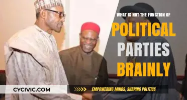 Debunking Myths: What Political Parties Don't Actually Do