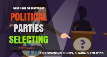 Political Parties' Selection Process: What It Doesn't Actually Do