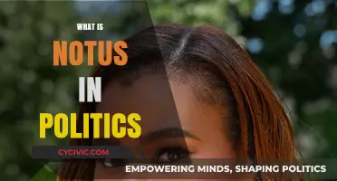 Understanding Notus: Its Role and Impact in Modern Political Strategies