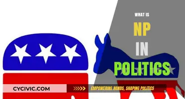 Understanding NP: Nonpartisan Politics and Its Role in Modern Governance