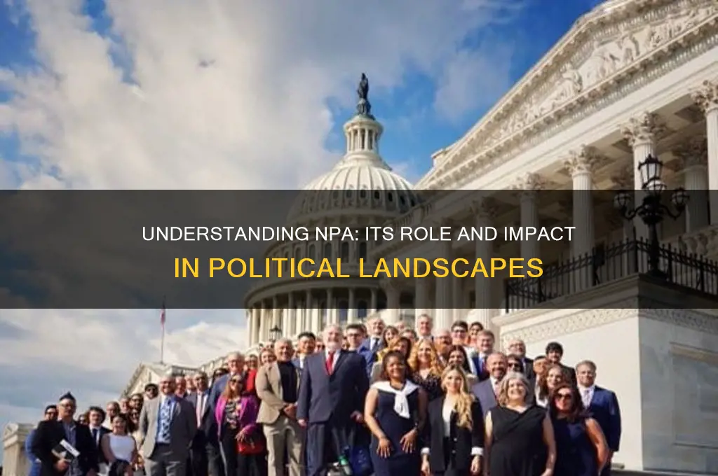 what is npa in politics