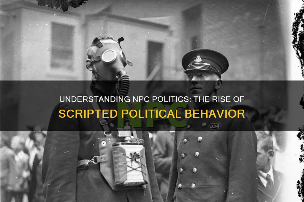 what is npc politics