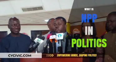 Understanding NPP: Its Role, Impact, and Significance in Modern Politics