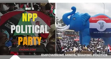 Understanding the NPP: Ghana's New Patriotic Party Explained