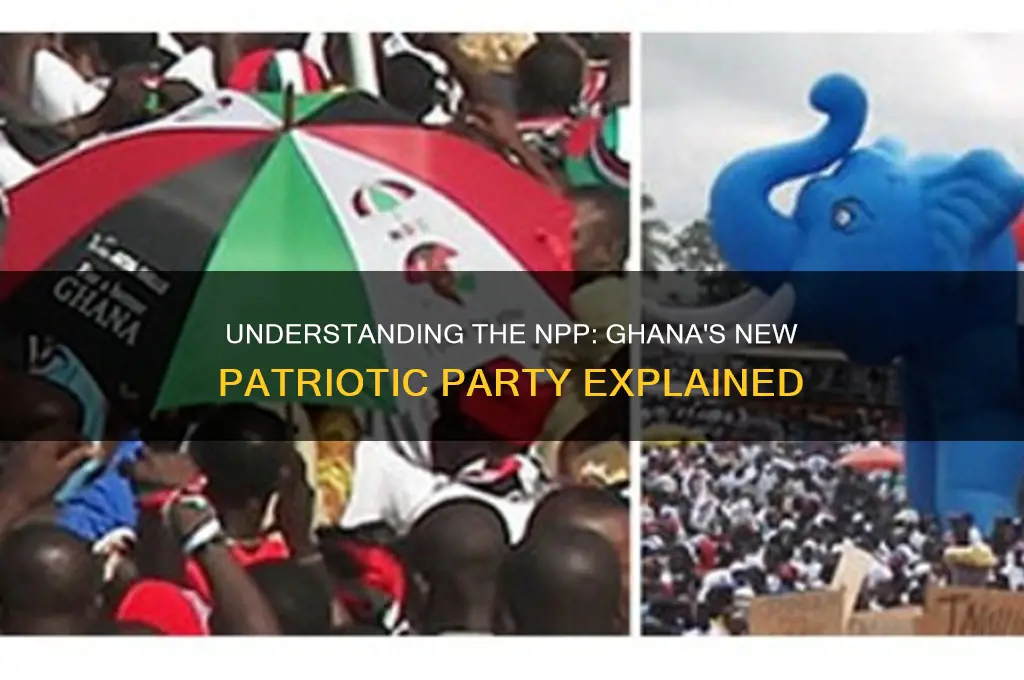what is npp political party