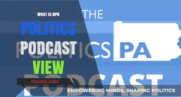 Exploring Perspectives: NPR Politics Podcast Analysis