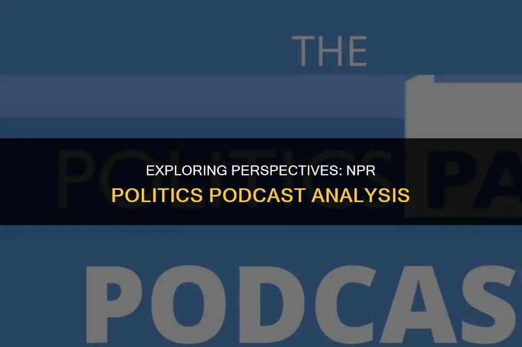 what is npr politics podcast view