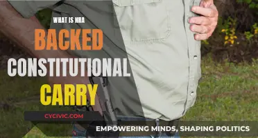 Understanding Constitutional Carry: NRA-Backed Gun Rights