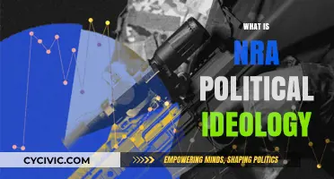 Understanding the NRA's Political Ideology: Beliefs, Influence, and Impact