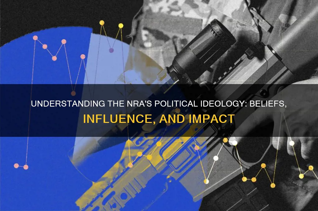 what is nra political ideology