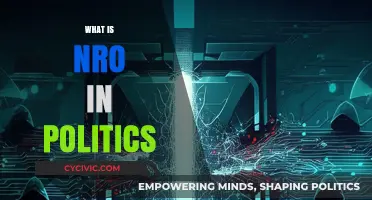 Understanding NRO: Its Role and Impact in Political Landscapes