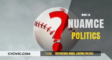 Understanding Nuance Politics: Navigating Complexity in Modern Political Landscapes