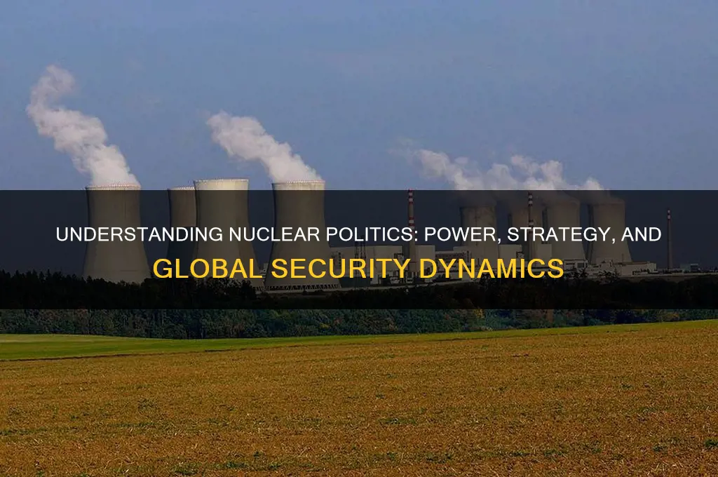 what is nuclear politics