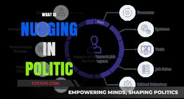 Nudging in Politics: Subtle Strategies Shaping Public Decisions and Behavior