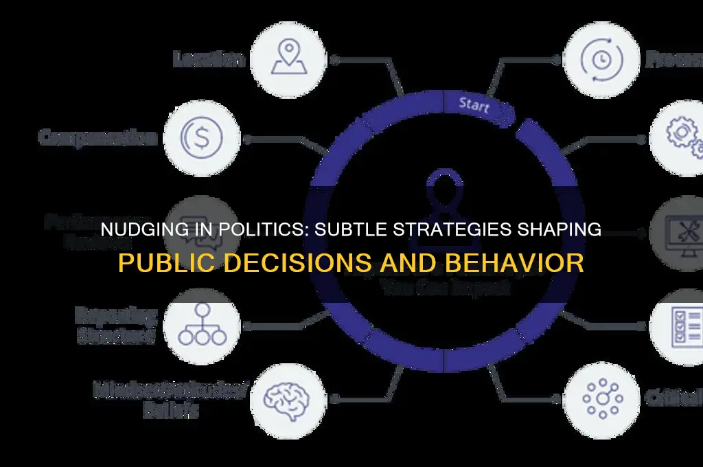 what is nudging in politic