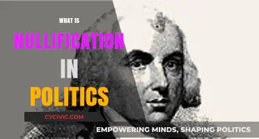 Understanding Nullification: A Political Doctrine's Impact on Federal Power