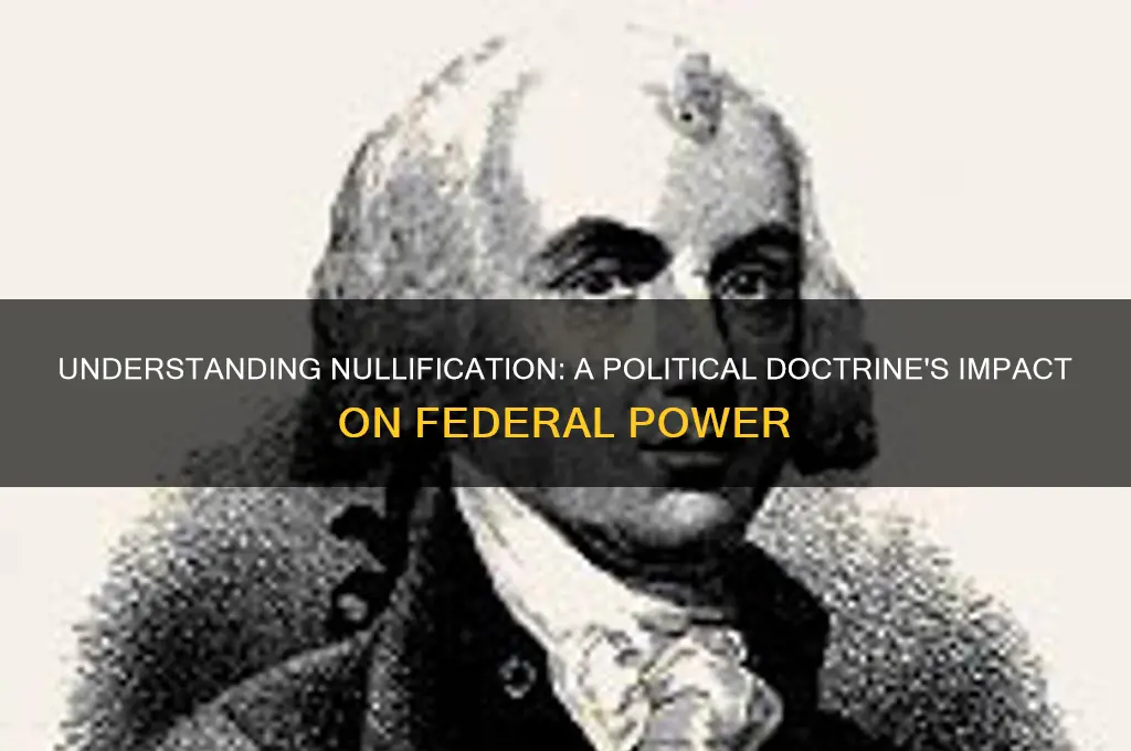 what is nullification in politics