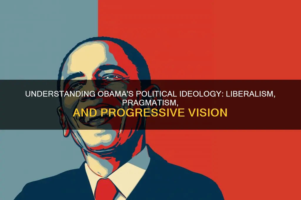 what is obama political ideology