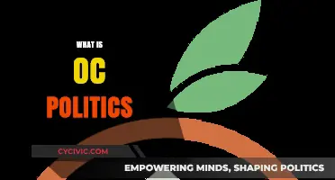 Understanding OC Politics: A Comprehensive Guide to Local Governance
