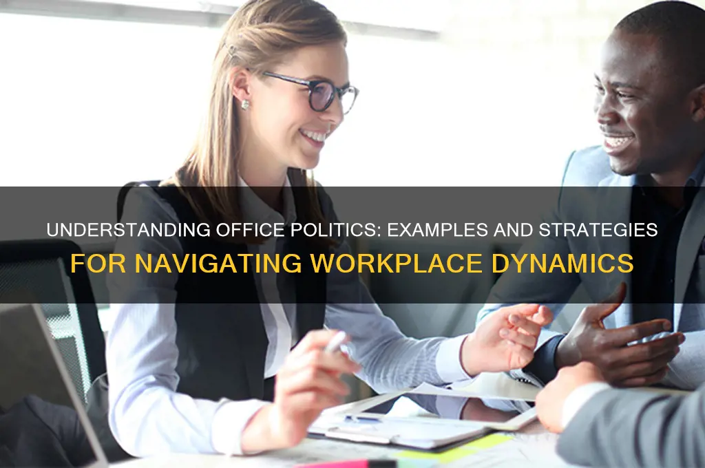 what is office politics examples