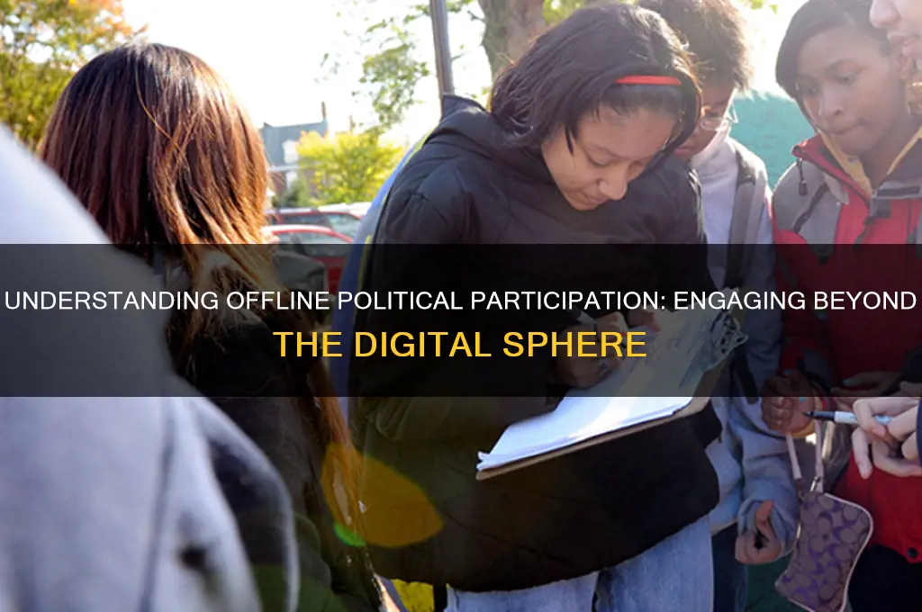 what is offline political participation