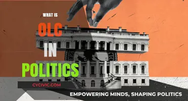 Understanding OLC: Its Role and Impact in Political Decision-Making