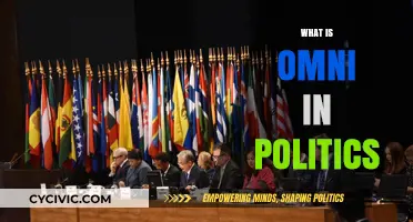 Understanding Omni Politics: A Comprehensive Guide to Inclusive Governance