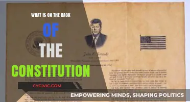 The Constitution's Back: Amendments and All