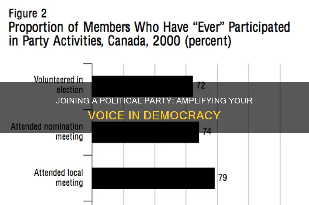 what is one advantage of joining a political party