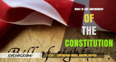 Constitutional Amendments: Understanding Their Impact